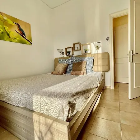 Nissaki Jonas * نساكيون